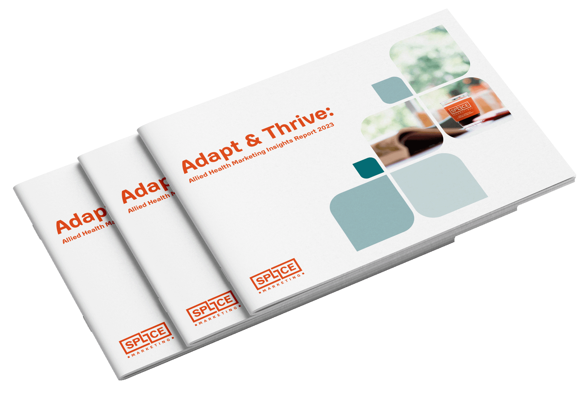 Allied Health Marketing Insights Report 2023