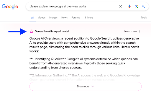 Google AI overviews screenshot